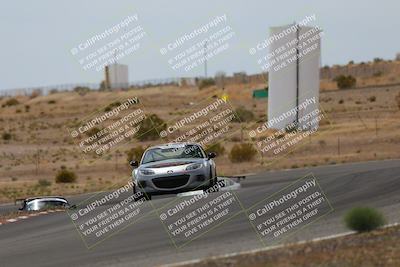 media/May-03-2025-Lucky Dog Racing (Sat) [[206de64b9d]]/Turn 6 (150pm-230pm)/